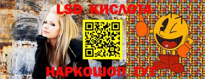 молекула духа Можга