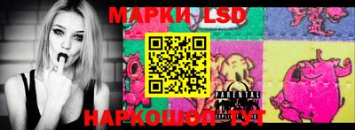 apvp Моздок