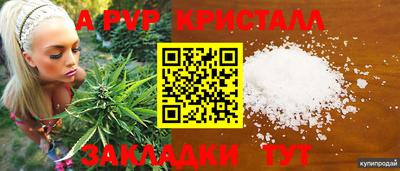 apvp Моздок