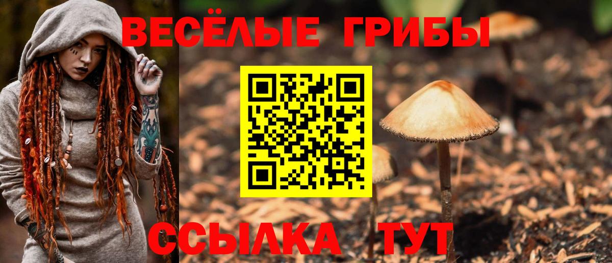 Строитель  Псилоцибиновые грибы ЛСД  Вход с VPN 
