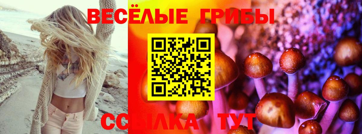 Галлюциногенные грибы Psilocybine cubensis Строитель